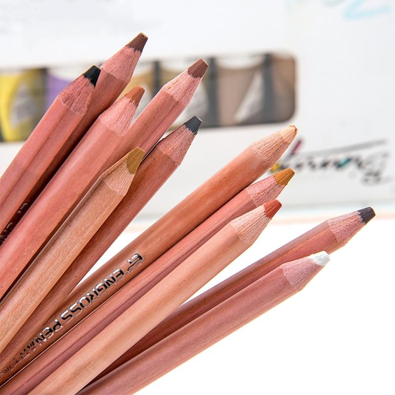 Colored Pencil Professional - Pastel doux professionnels, 12 pièces, teinte