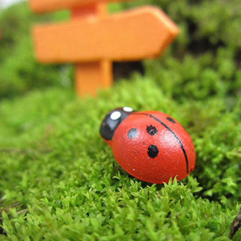 100 mini-petits insectes cocci - Art Craft Magnet avis et prix