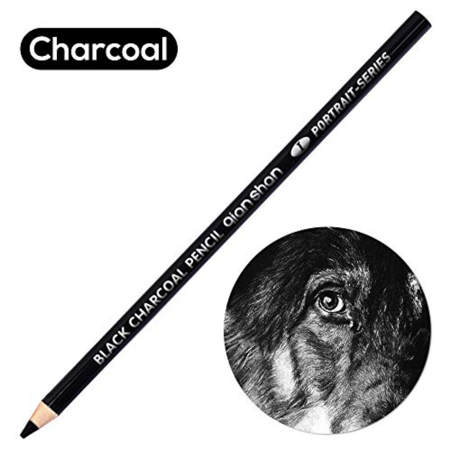 2 crayons à fusain noirs et bl - Colored Pencil Professional avis et prix