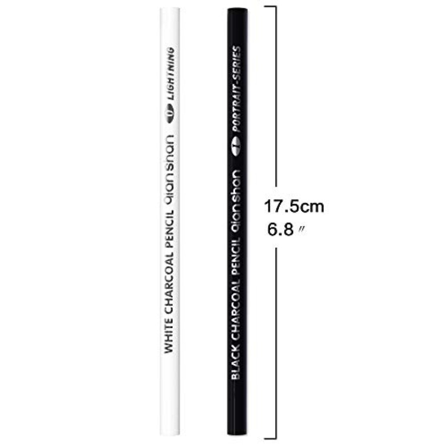 2 crayons à fusain noirs et bl - Colored Pencil Professional avis et prix